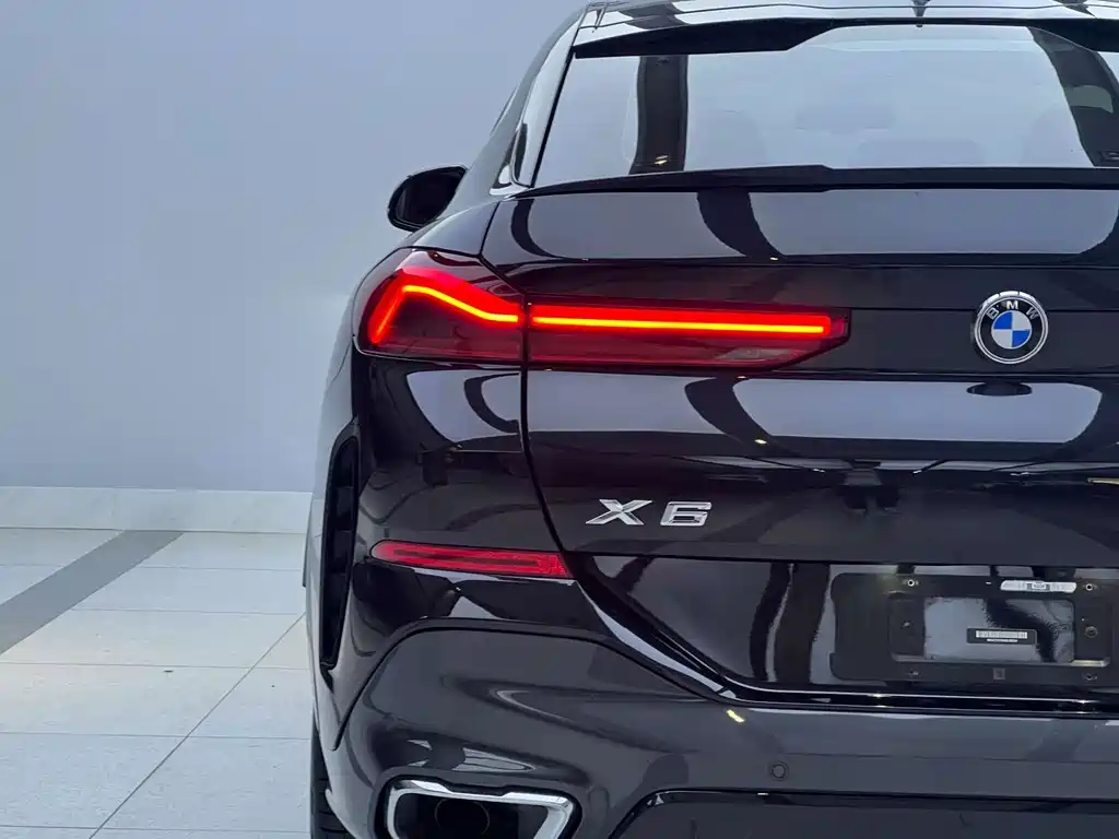 BMW X6 — миниатюра 6