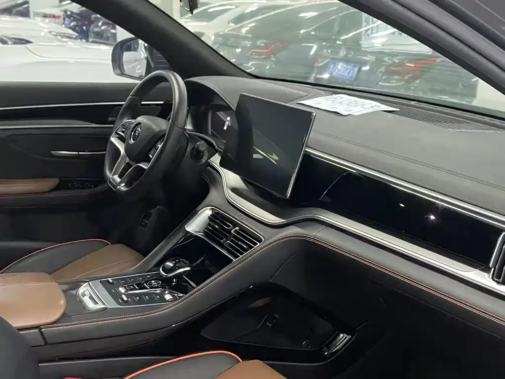 BYD PLUS — миниатюра 6