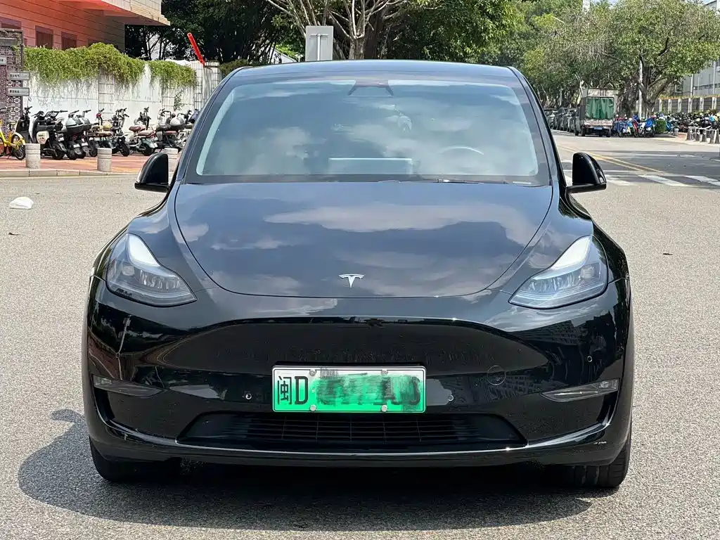 Tesla Model Y — миниатюра 2