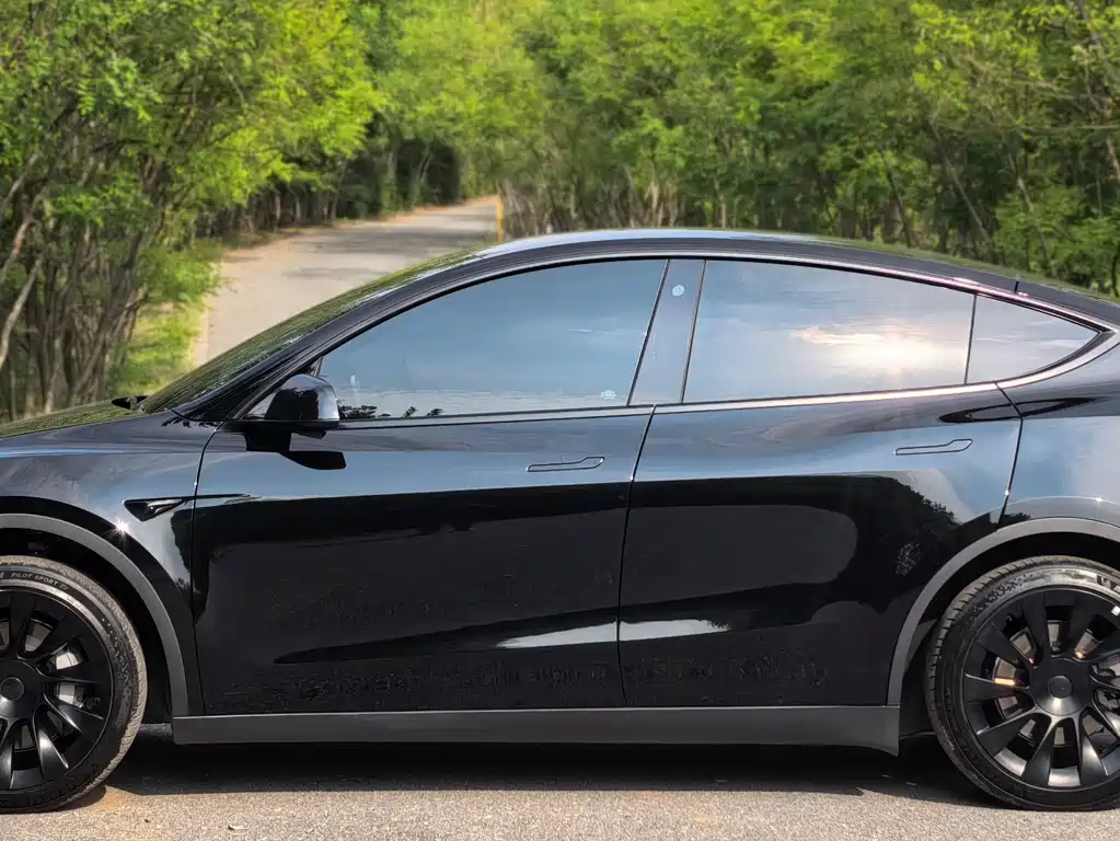 Tesla Model Y — миниатюра 3