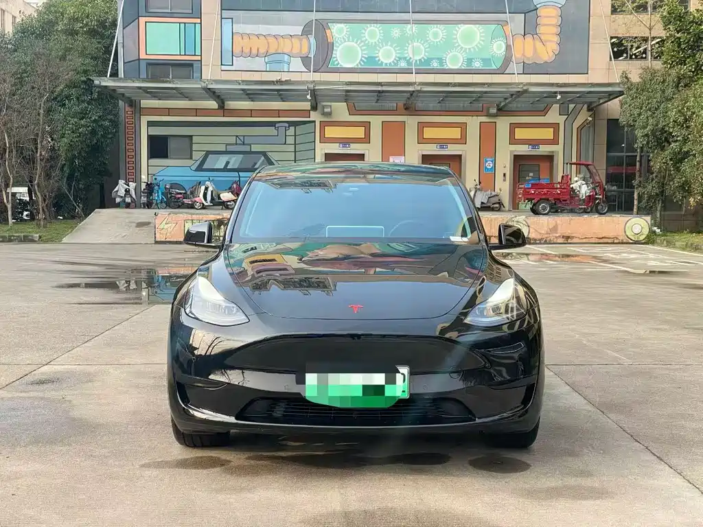 Tesla Model Y — миниатюра 2