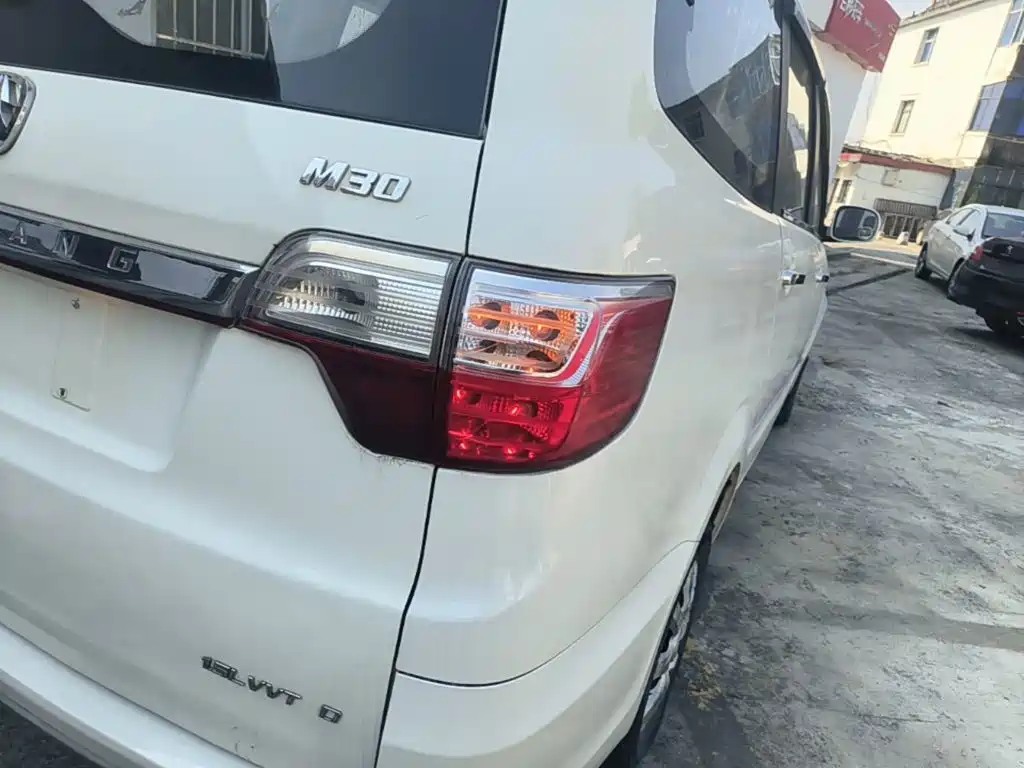 BAW Weiwang M20 — миниатюра 8