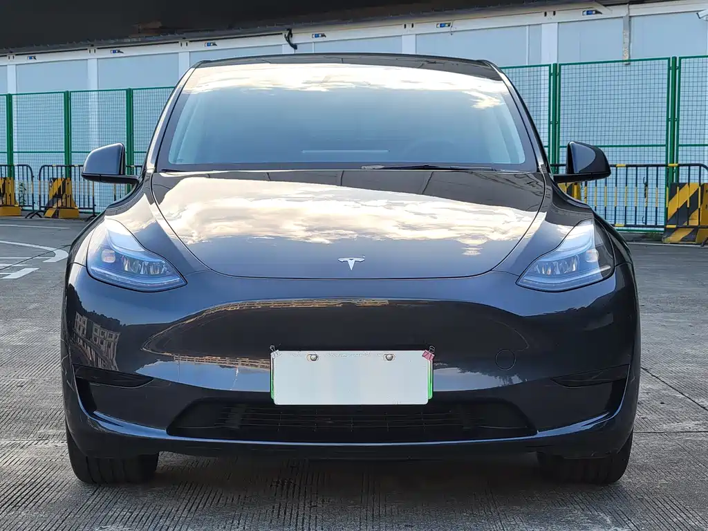 Tesla Model Y — миниатюра 2