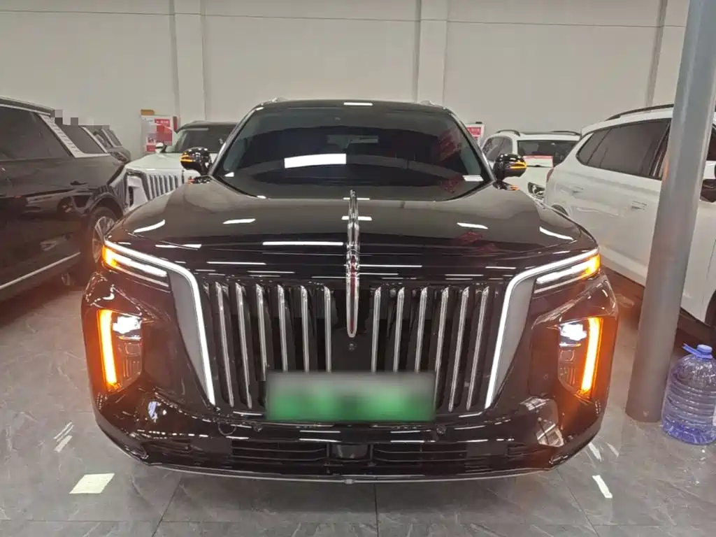 Hongqi Hongqi E-HS9 — миниатюра 3