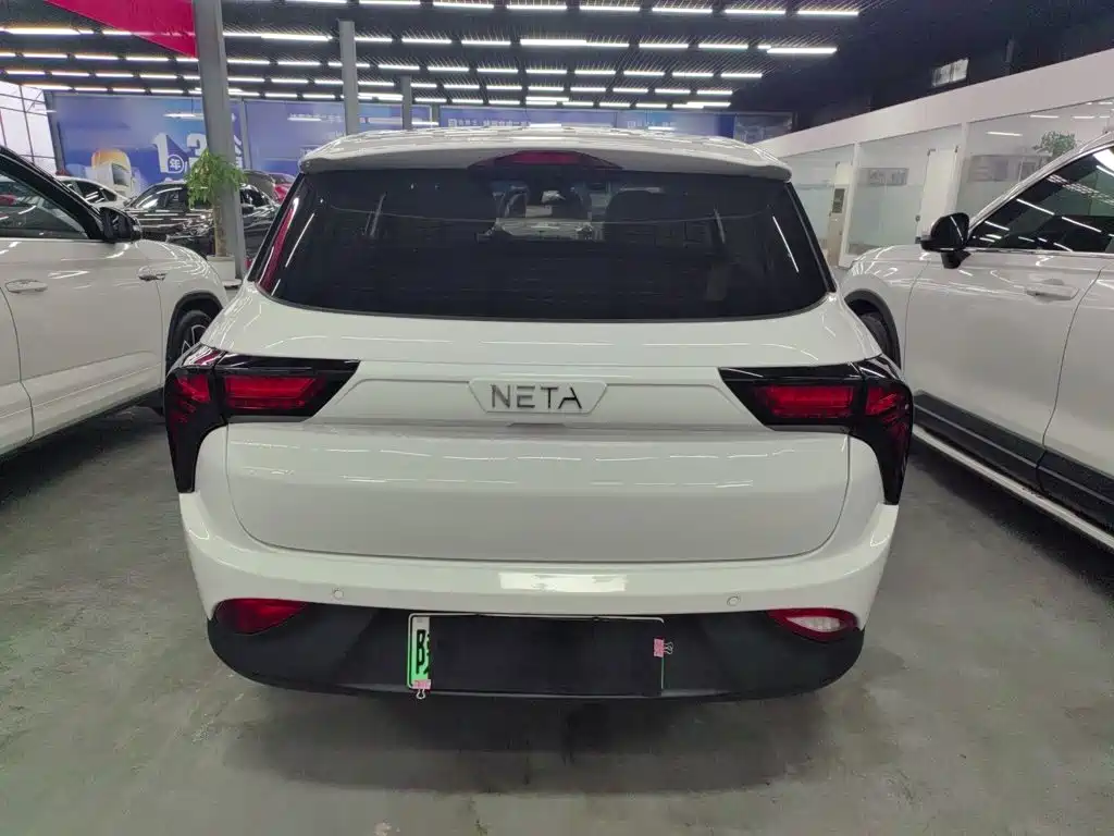 Neta Neta V — миниатюра 6