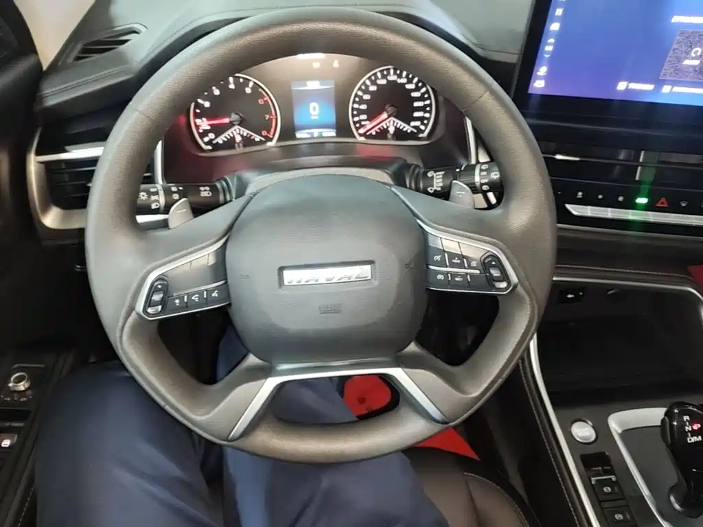Haval H6 — миниатюра 11