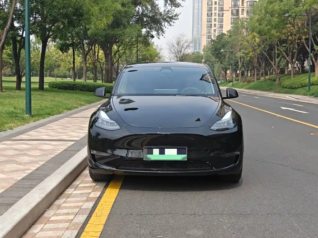 Tesla Model Y — миниатюра 3