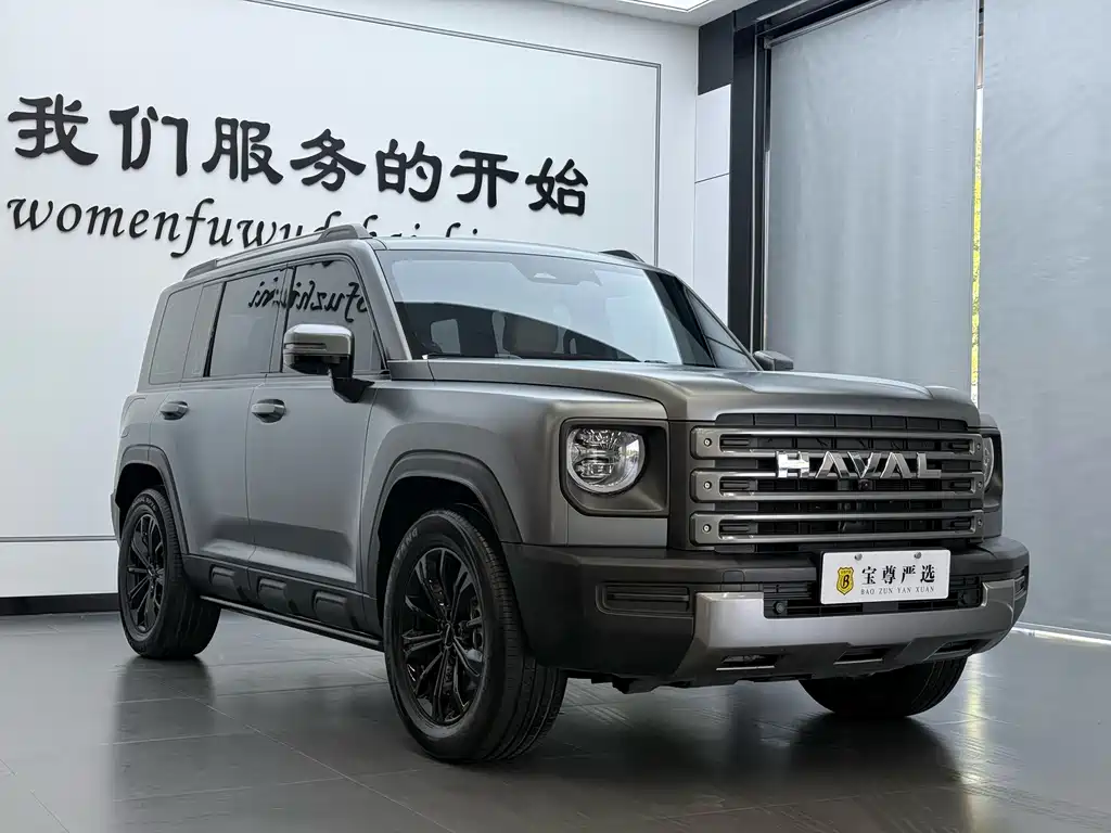 Haval Menglong New Energy Hi4 145 Cross Edition, фото 3