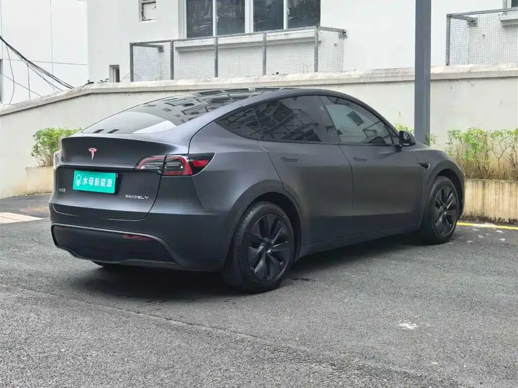 Tesla Model Y — миниатюра 13