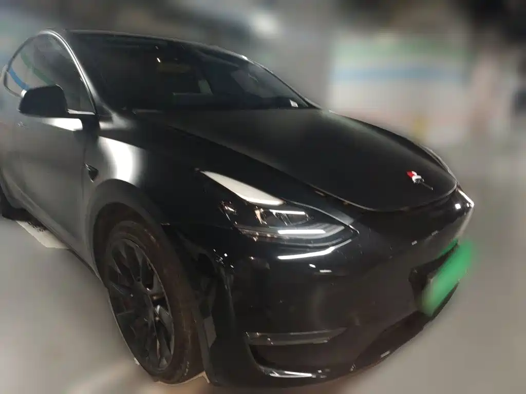 Tesla Model Y — миниатюра 24