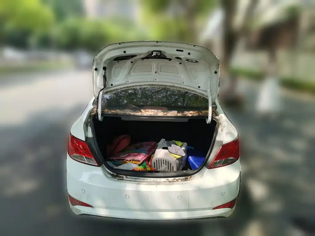 Hyundai Verna — миниатюра 20