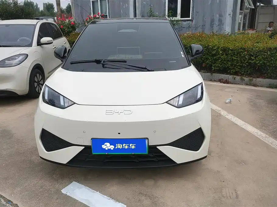 BYD Seagull 2025 Smart Drive 305km Freedom