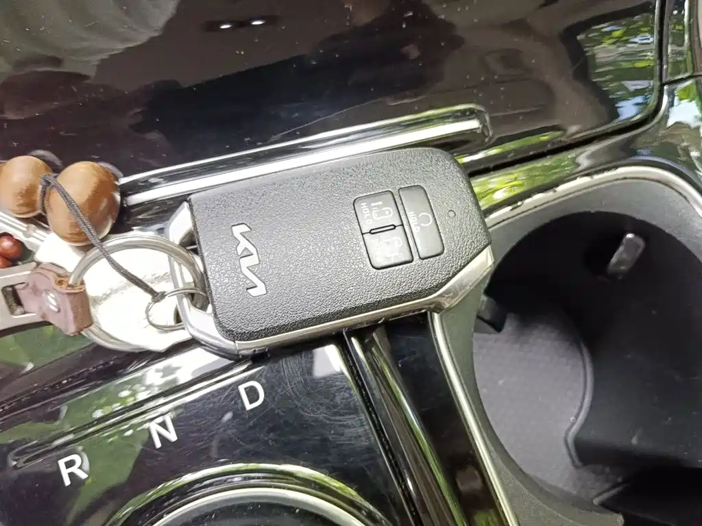 Kia Carnival — миниатюра 12