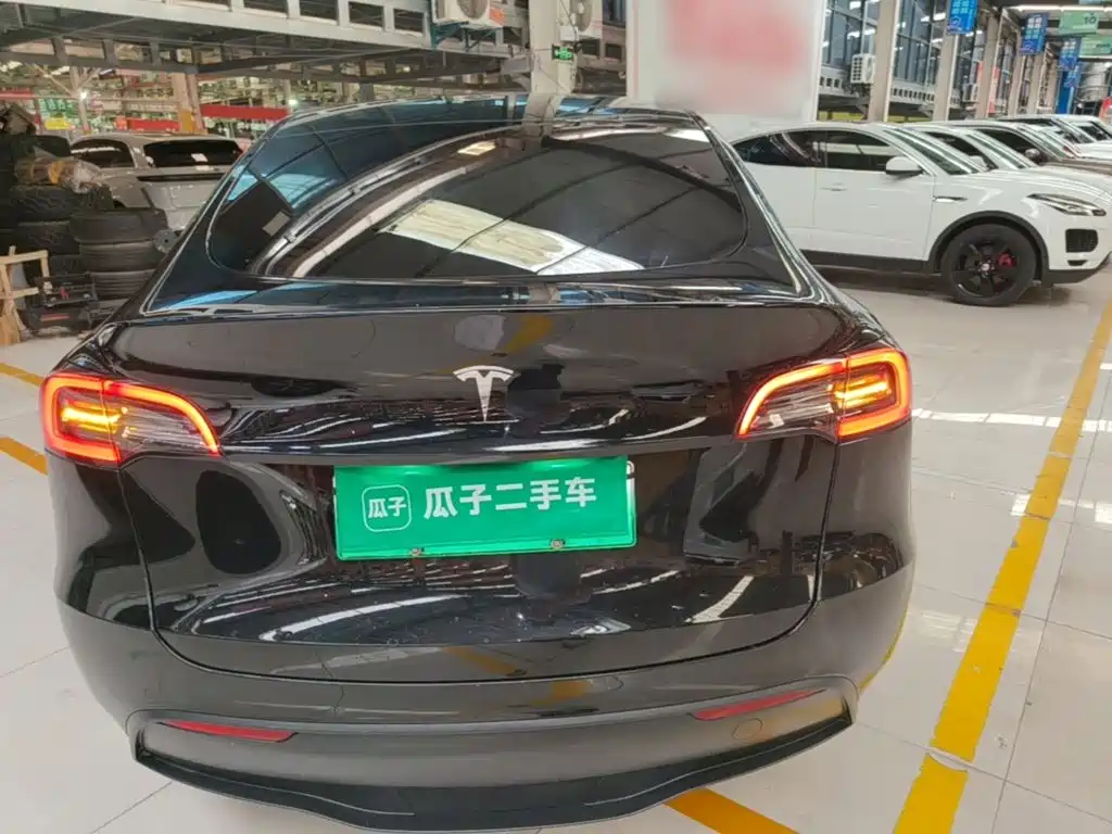 Tesla Model Y — миниатюра 6