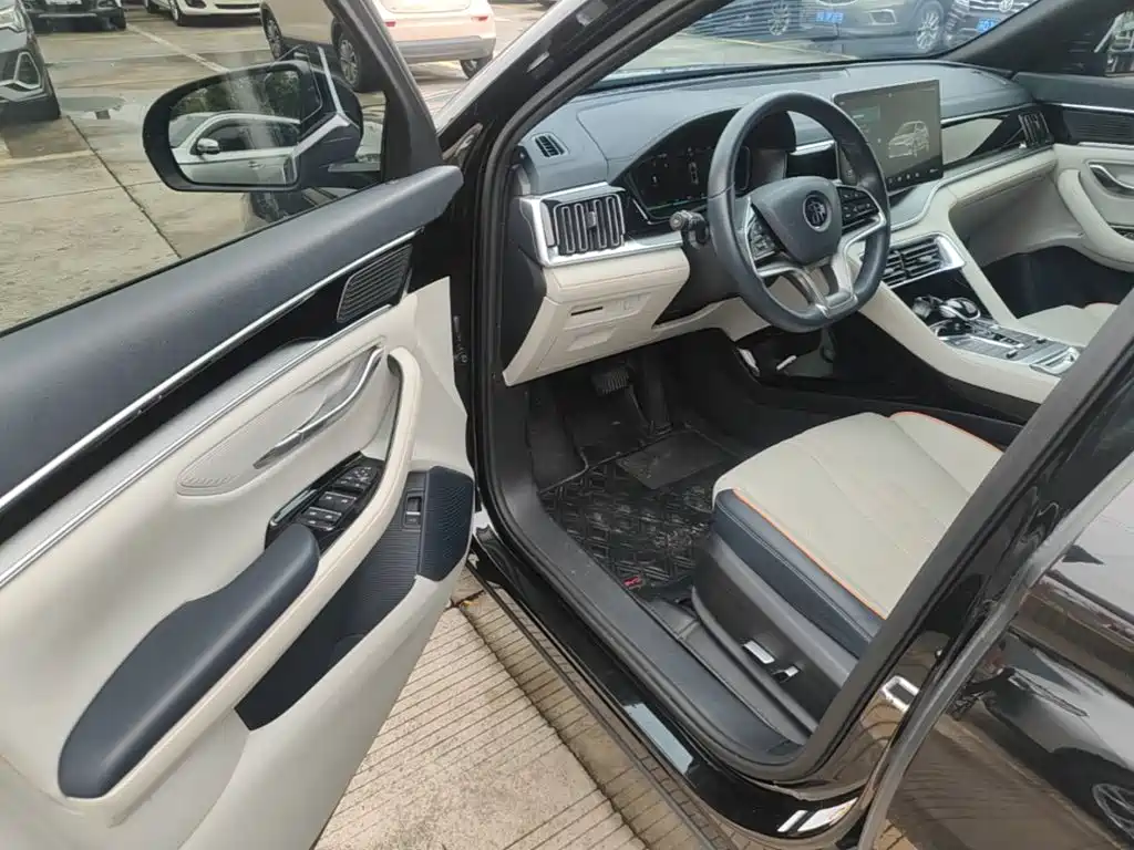 BYD PLUS New Energy — миниатюра 16