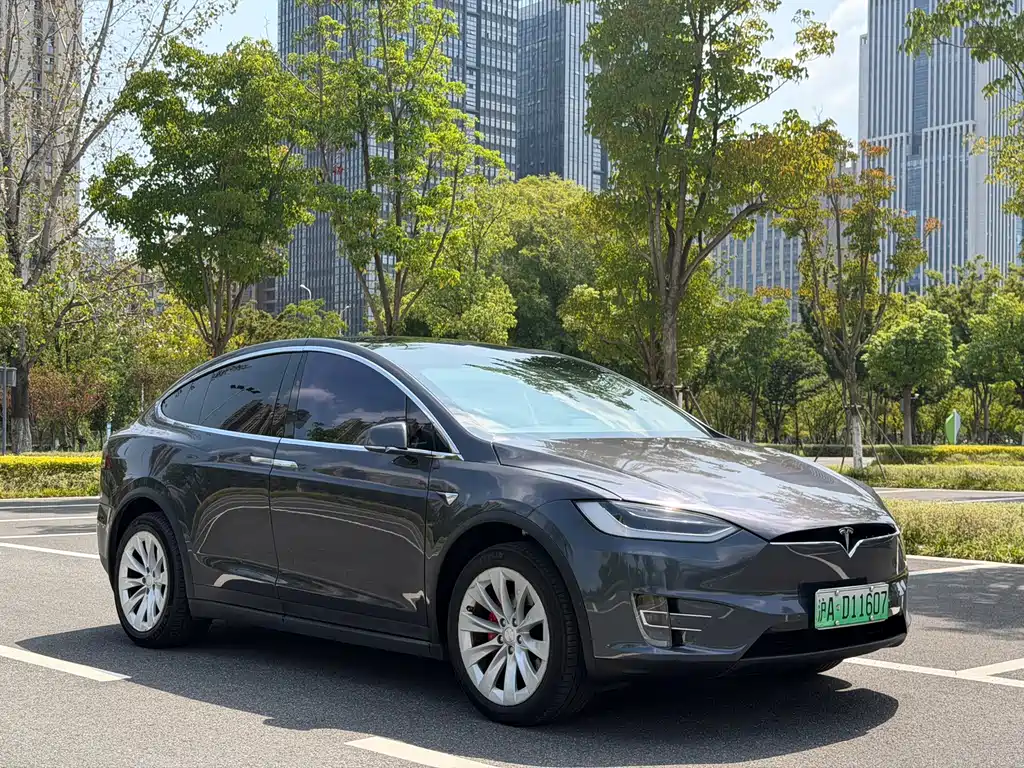 Tesla Model X — миниатюра 18