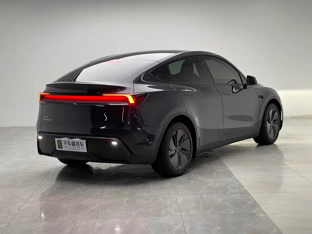 Tesla Model Y — миниатюра 6