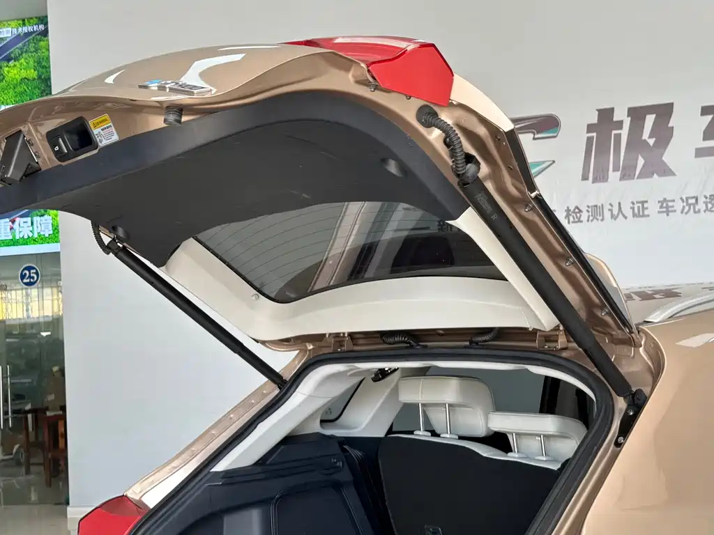 WM Motor EX5 — миниатюра 10