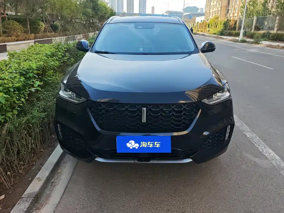 Wey Wey VV6 — миниатюра 2
