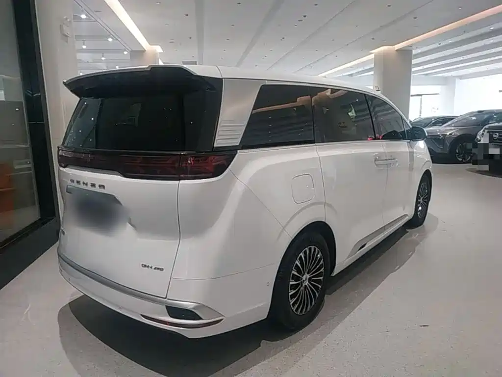 Denza Denza D9 — миниатюра 7
