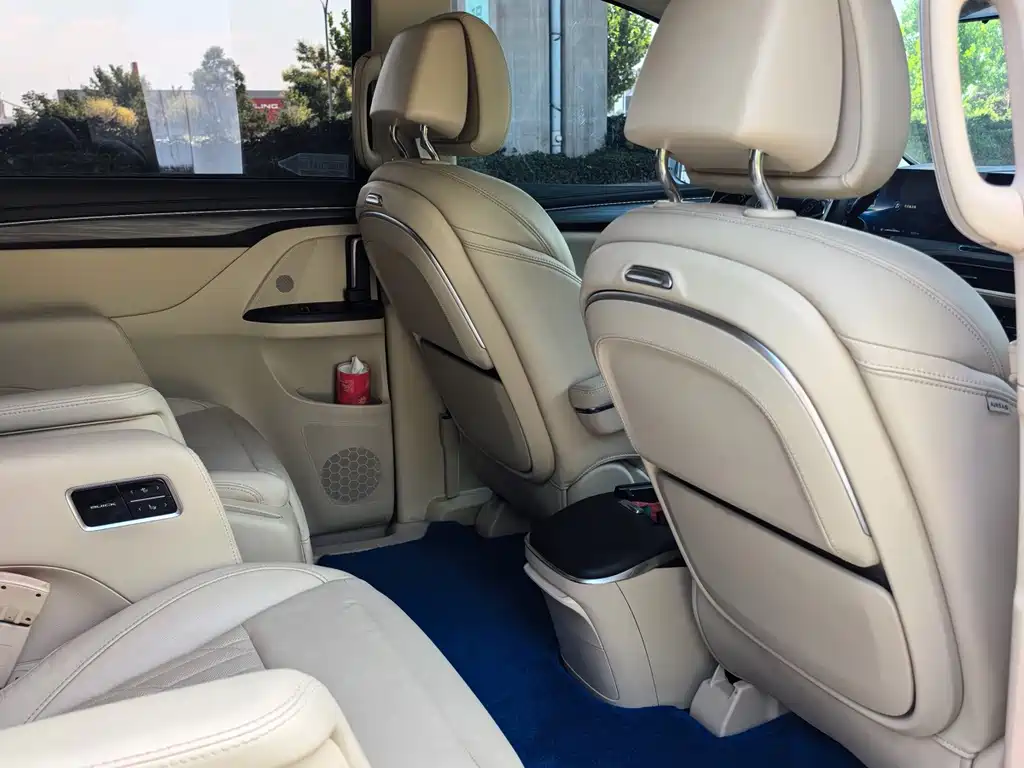 Buick GL8 2023 ES Luxury