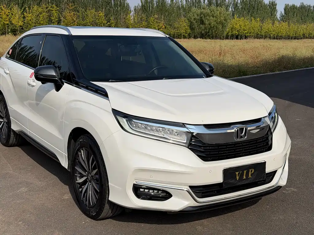 Honda Avancier — миниатюра 3