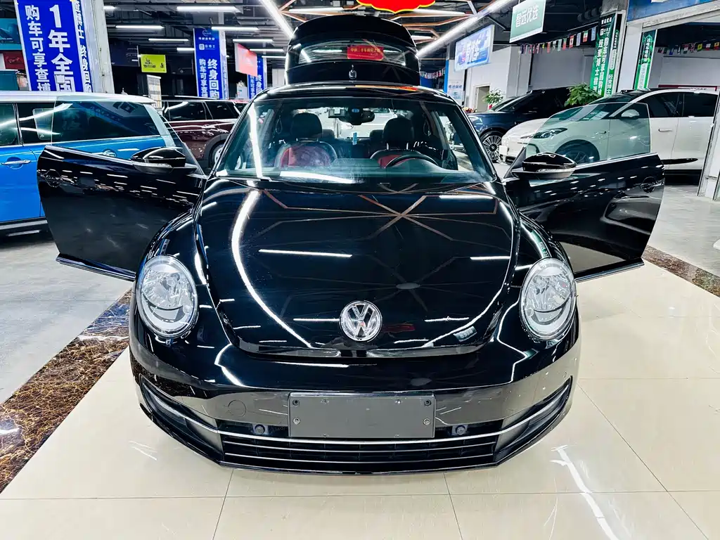 Volkswagen Beetle — миниатюра 23