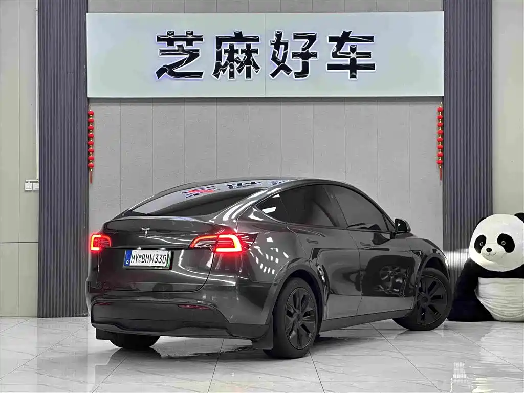 Tesla Model Y — миниатюра 6