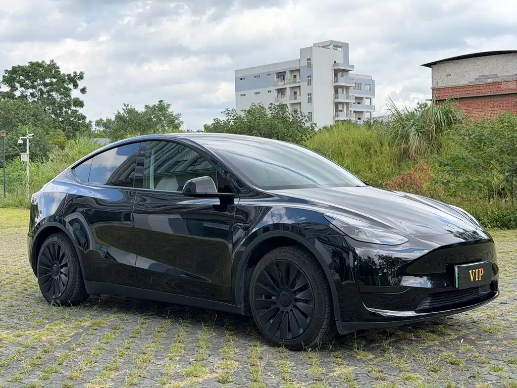Tesla Model Y — миниатюра 3