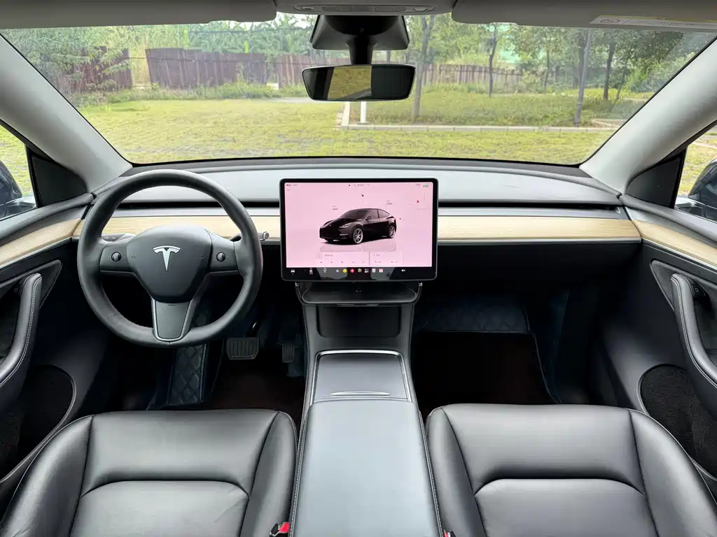 Tesla Model Y — миниатюра 8