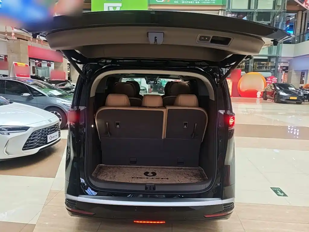 Denza Denza D9 — миниатюра 19