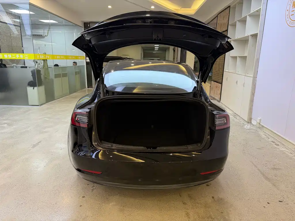 Tesla Model 3 — миниатюра 8
