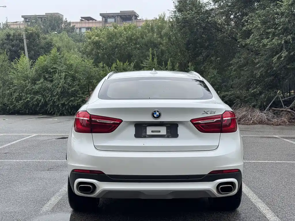 BMW X6 2015 xDrive35i Luxury