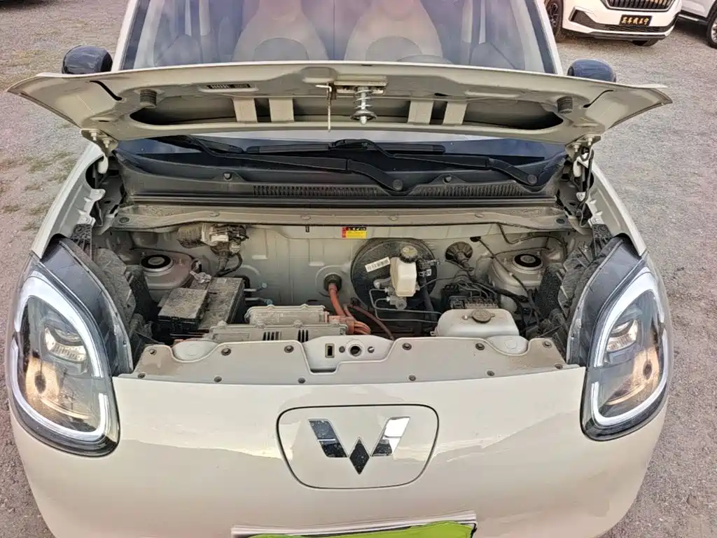 Wuling MINIEV — миниатюра 20
