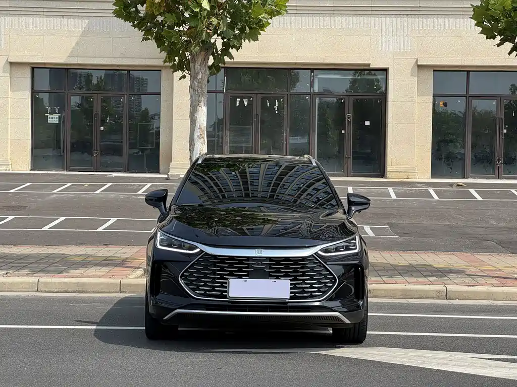 BYD Tang New Energy — миниатюра 2