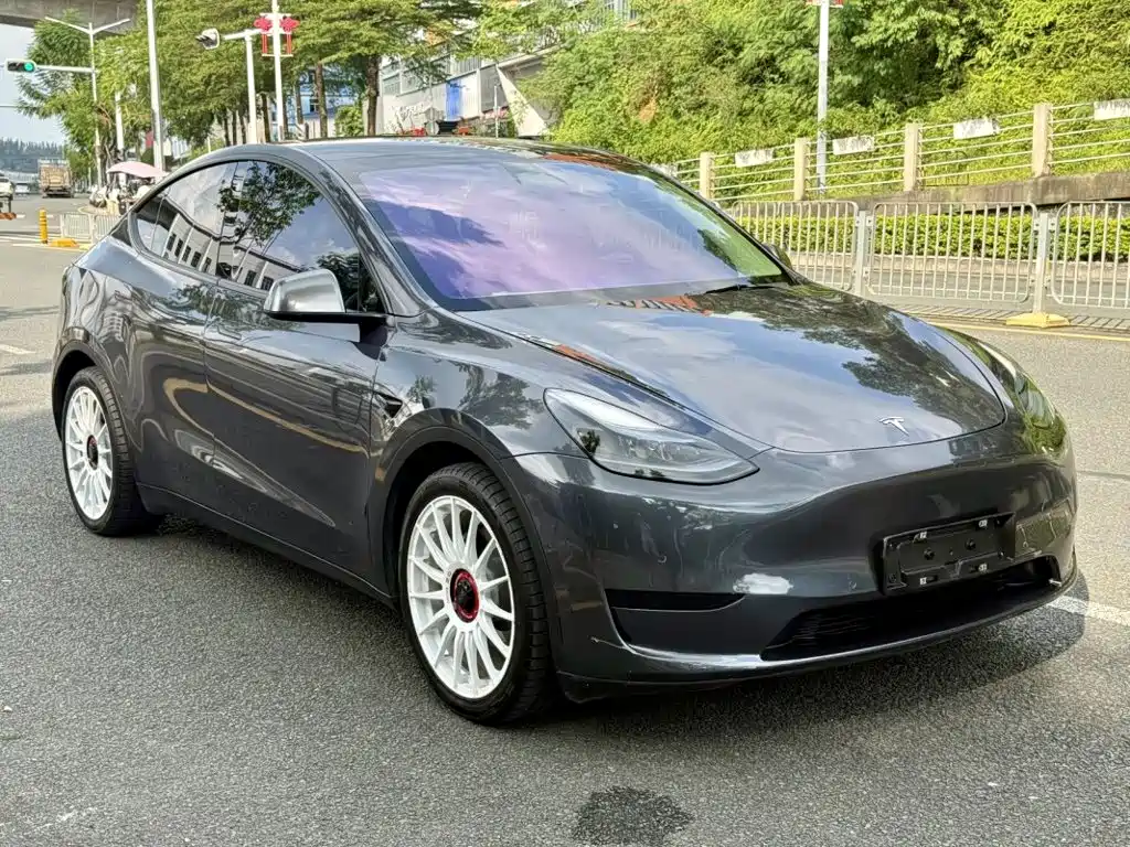 Tesla Model Y — миниатюра 4