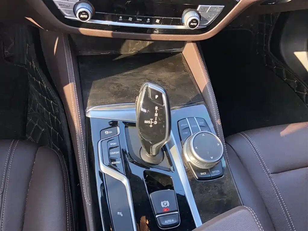 BMW 5 Series 5 2020 525Li M Sport