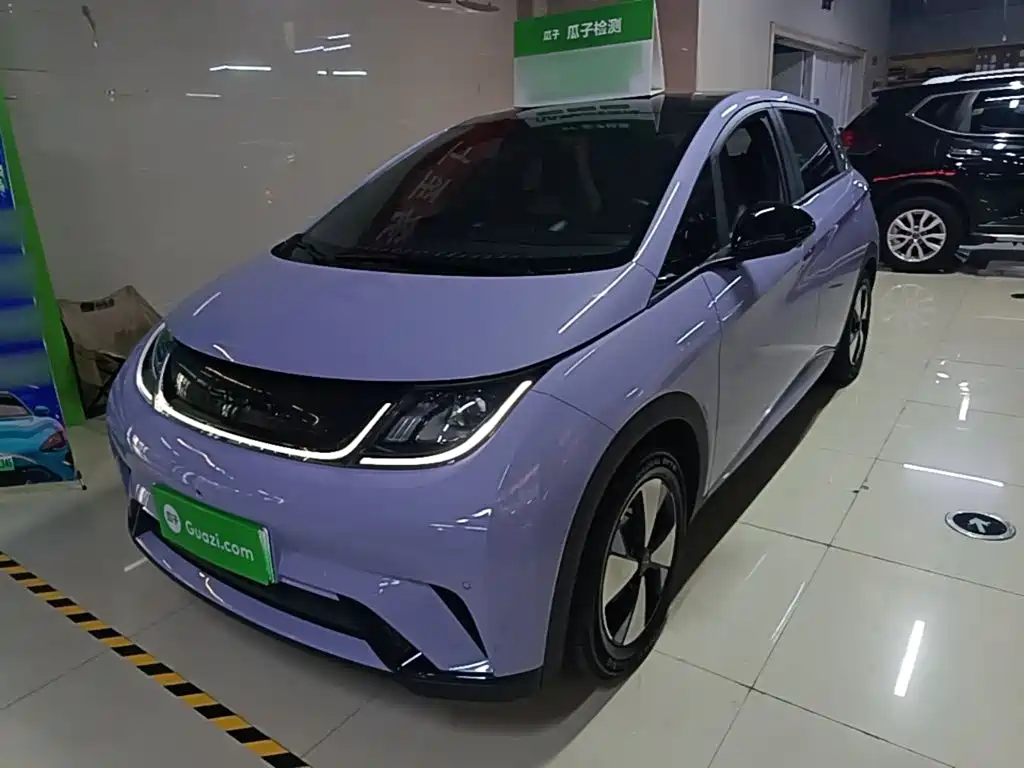 BYD Dolphin — миниатюра 2