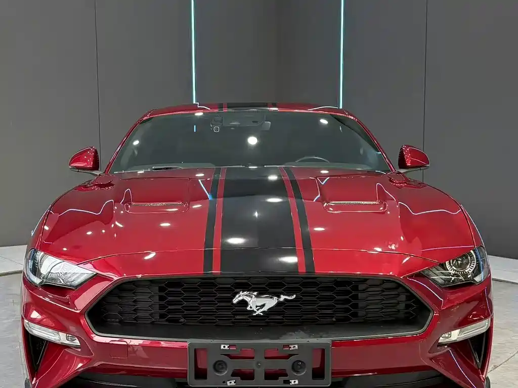 Ford Mustang — миниатюра 2