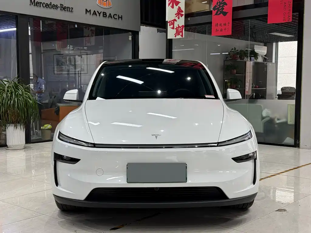 Tesla Model Y — миниатюра 5