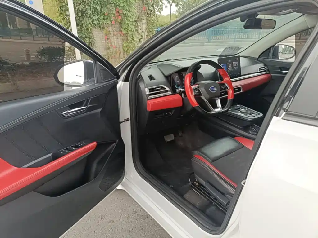 BYD e2 — миниатюра 16