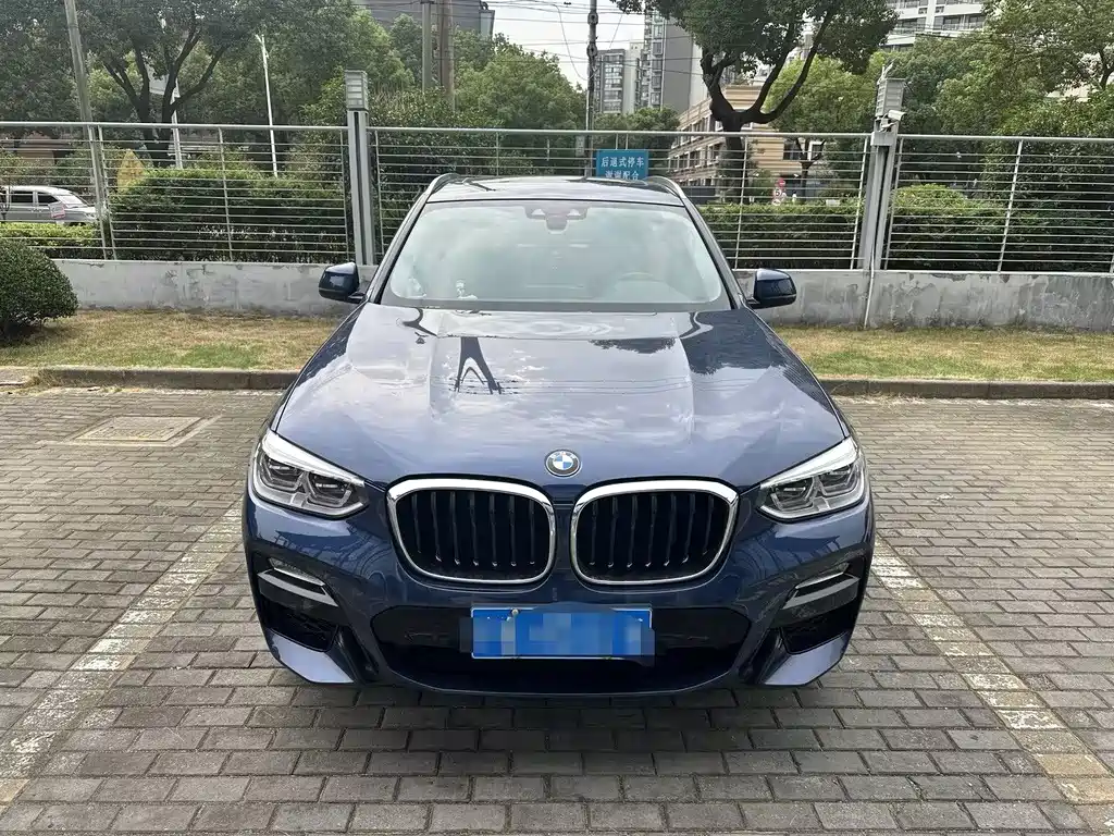 BMW X3 — миниатюра 2