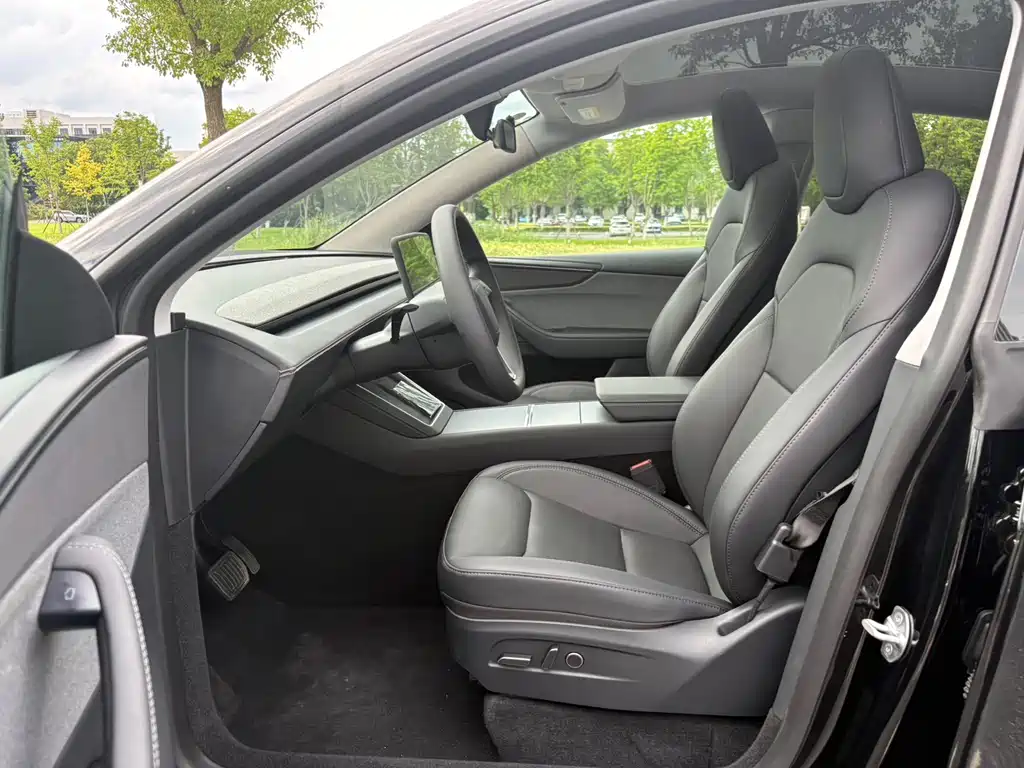 Tesla Model Y — миниатюра 8