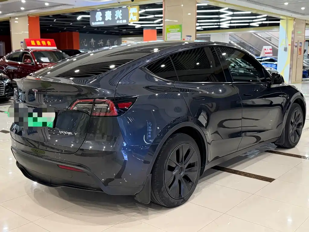 Tesla Model Y — миниатюра 9