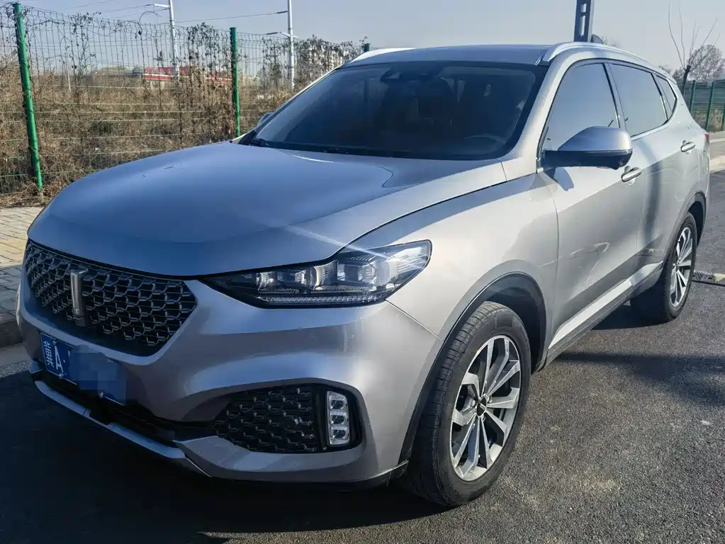 WEI PAI WEI BRAND VV6