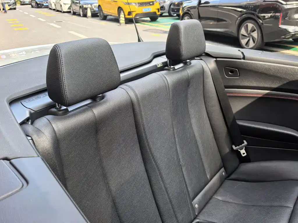 BMW 2 Series (Import) 225i Convertible Coupe Sport Design Package, фото 15