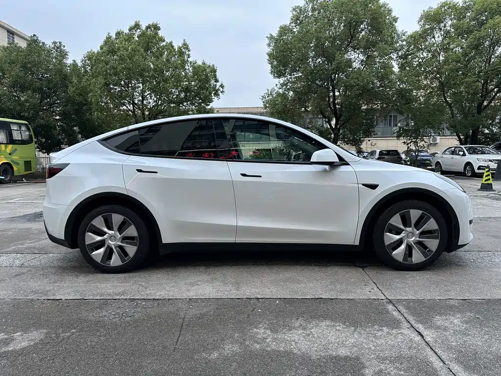 Tesla Model Y — миниатюра 4