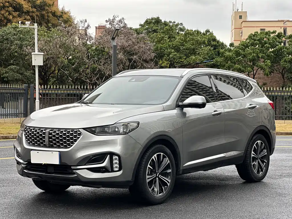 WEI PAI WEI BRAND VV6