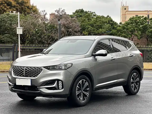 WEI PAI WEI BRAND VV6 2021