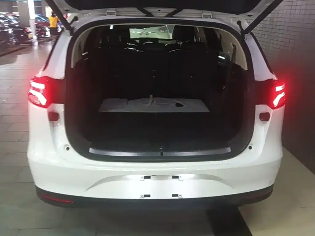 BYD Tang New Energy — миниатюра 19